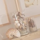 Decorating With Seashells In A Bathroom