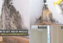 How To Get Rid Of Mould In Bedroom Wall