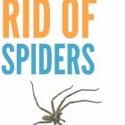 How To Get Rid Of Spiders In Your Bedroom