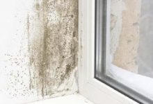 How To Prevent Mould In Bedroom