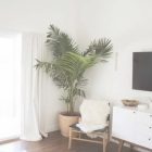 Plants In Bedroom Ideas