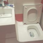 Funny Bathroom Designs