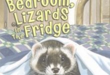 Ferret In The Bedroom Lizards In The Fridge