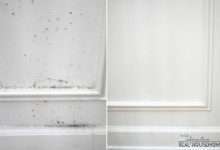 Mold Keeps Coming Back In Bedroom