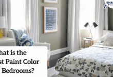 Which Paint Is Best For Bedroom Walls