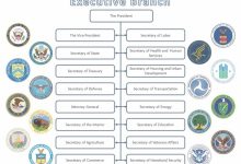 Us Cabinet Agencies