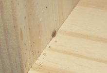 Signs Of Bed Bugs In Wood Furniture